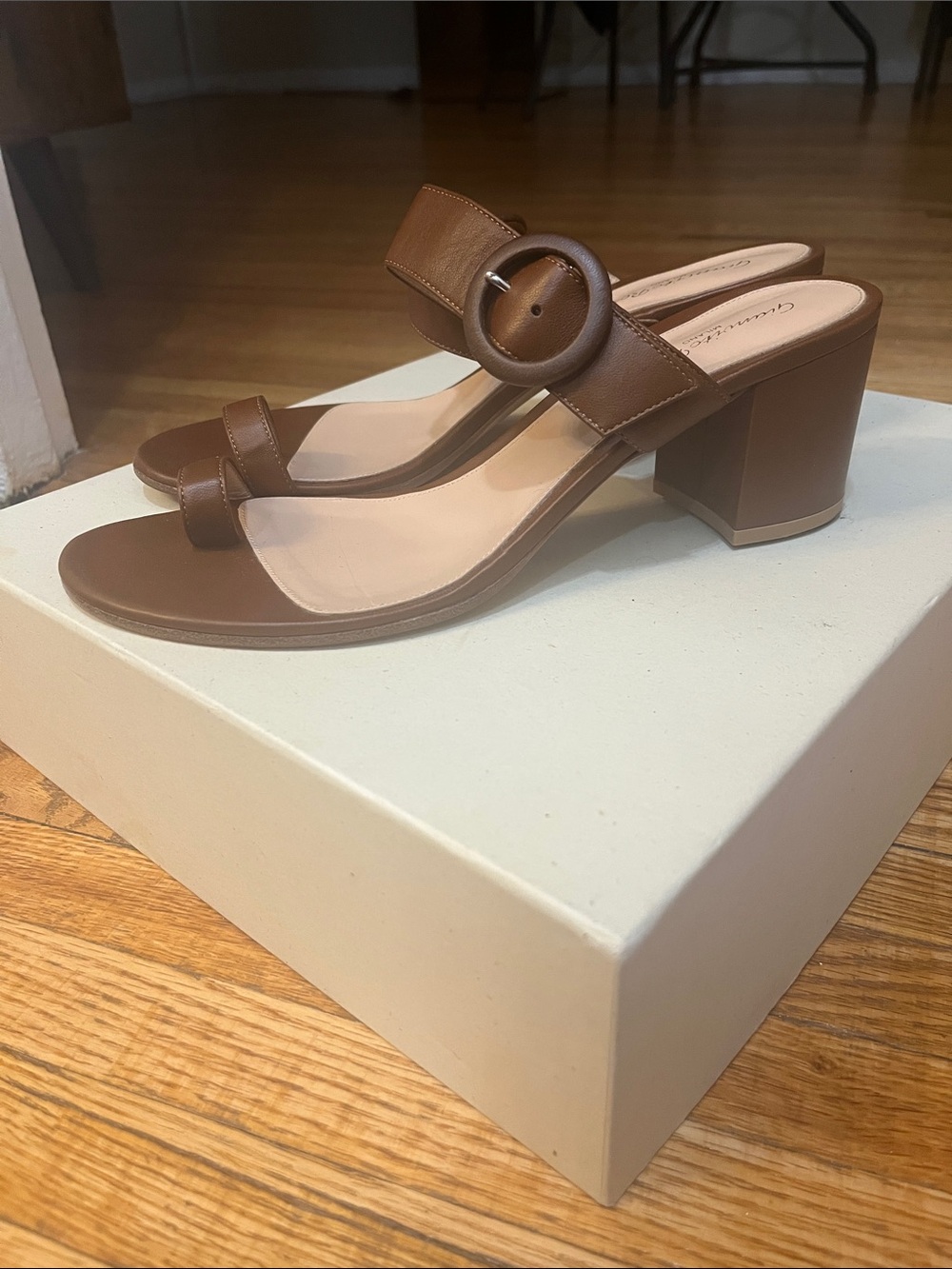 Gianvito Rossi Brown Block Heel Slide Sandals with Buckle Strap